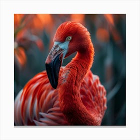 Flamingo 15 Canvas Print