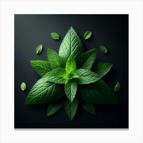 Mint Leaves On Black Background 3 Canvas Print