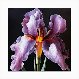 Purple Iris Canvas Print