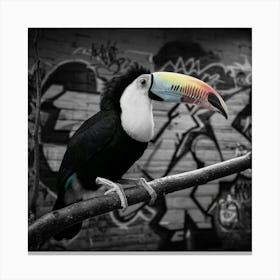 Toucan Canvas Print