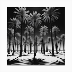 Palm Trees Canvas Print