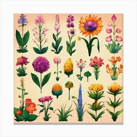 Information Sheet With Different Fantasy Flowers A (4) Canvas Print