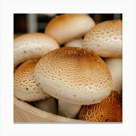 Mushrooms In A Bowl Canvas Print