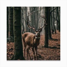 Deer In The Forest 31 Canvas Print