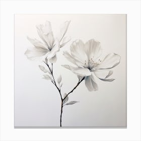 Two White Flowers Canvas Print