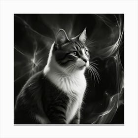 Black And White Cat 2 Canvas Print