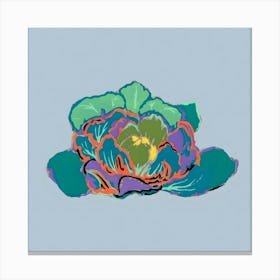 Cabbage Flower Canvas Print