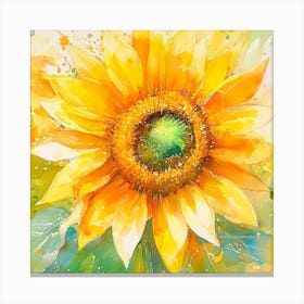 Sunflower Canvas Print