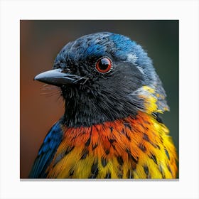 Colorful Bird 14 Canvas Print