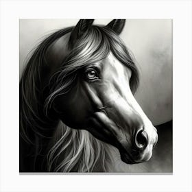 Creative Horse Beauty Illustration Nr 211 Canvas Print