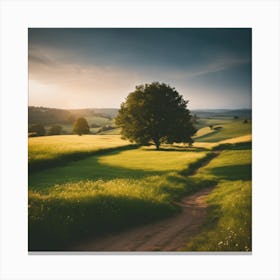 Sunset In The Countryside 9 Canvas Print