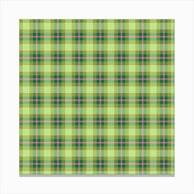 Green Plaid Fabric 10 Canvas Print