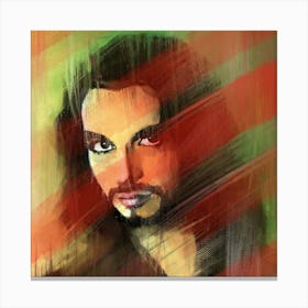 Red & Green Canvas Print