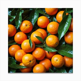 Oranges Canvas Print