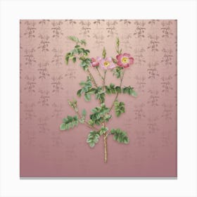Vintage Prickly Sweetbriar Rose Botanical on Dusty Pink Pattern n.0843 Canvas Print