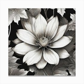 Black And White Flower 1 Canvas Print