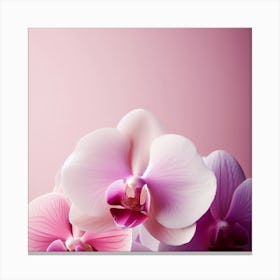 Flower of Orchid 1 Canvas Print