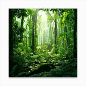 Firefly Rainforest Forest Background 81303 Leinwandbild