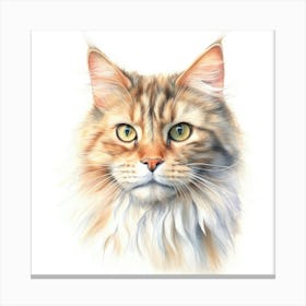 Ragamuffin Cat Portrait 2 Canvas Print