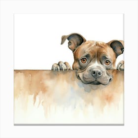 Staffordshire Bull Terrier Dog 6 Canvas Print