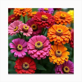 A Vibrant Collection Of Blooming Zinnias In Bright, Cheerful Colors 3 Canvas Print