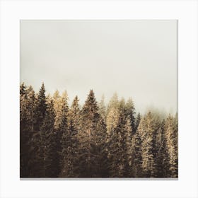 Colored Pine Trees Square Canvas Print