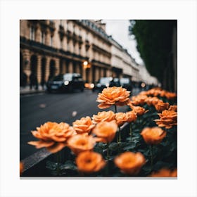 Flowers In Paris Photography (9) 1 Canvas Print