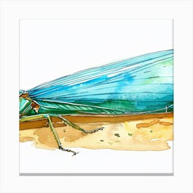 Dragonfly 2 Canvas Print