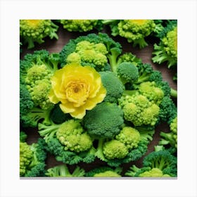 Florets Of Broccoli 25 Canvas Print