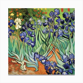 Irises Canvas Print