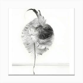 Feathers Canvas Print