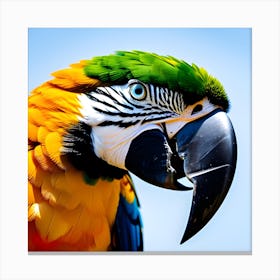 Colorful Parrot 2 Canvas Print