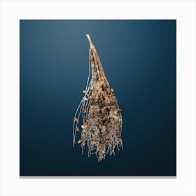 Gold Botanical Normal Spadice of the Palm on Dusk Blue n.3888 Canvas Print