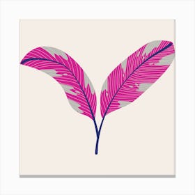 Palm Leaf Canvas Print