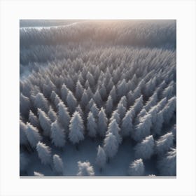 Winter Forest With Visible Horizon And Stars From Above Drone View Perfect Composition Beautiful (6) Canvas Print