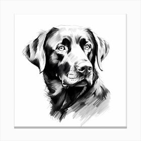 Black and White Labrador drawing 2 Canvas Print