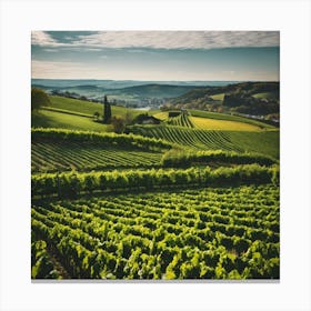 Vineyards In France Canvas Print