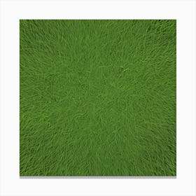 Grass Flat Surface For Background Use (19) Canvas Print