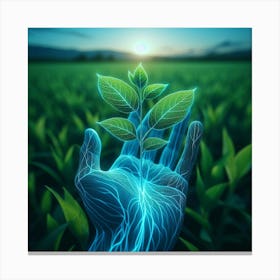 Hand Holding A Plant Canvas Print