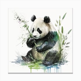 Panda Bear 11 Canvas Print