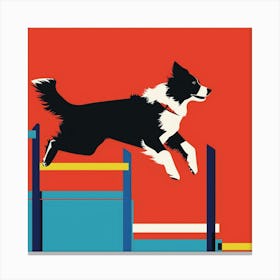 Border Collie Jumping Hurdles Canvas Print