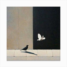 Dove And Blackbird Canvas Print