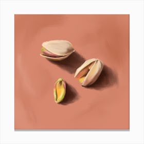 Pistachios Canvas Print