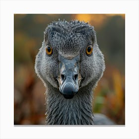 Portrait Of A Goose Canvas Print