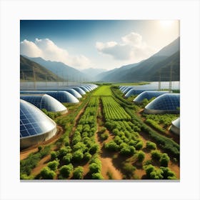 Solar Farm Canvas Print