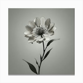 Black And White Flower 2 Canvas Print