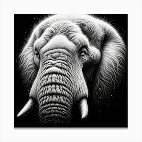 Elephant In The Night Canvas Print