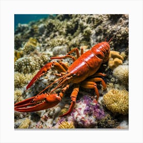Red Lobster On Coral Reef 1 Canvas Print