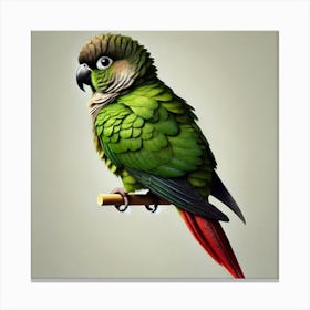 Parrot 17 Canvas Print