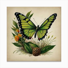 Butterfly 1 Canvas Print